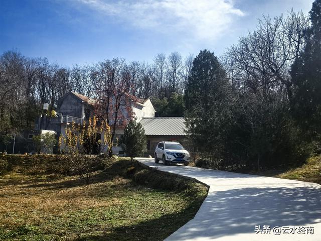 开车到蓝田这个岭上看柿子、观山景、晒暖暖，就是初冬最幸福的事