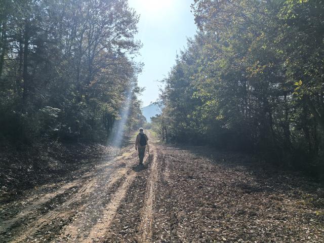 南京龙尚湖，大连山，佘村一日郊野徒步