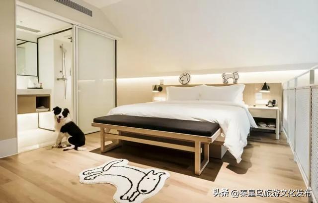 消费潜能激发：北戴河新区小众经济成增长引擎