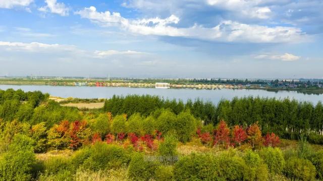 冰城的枫叶开始红了｜秋日叶景之美徐徐展开
