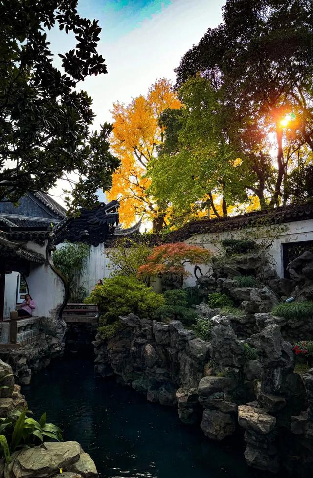秋色限定!沪上园林已达颜值巅峰→