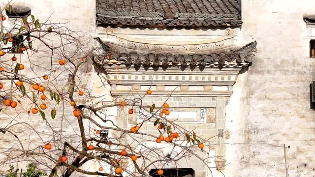 小红书火爆的黟县秋兴八景图上线！| 皖美冬日 | 第十五届安徽国际文化旅游节