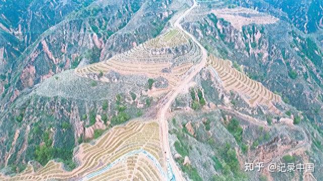 梦在青山绿水间——陕西省延长县国家储备林基地建设侧记