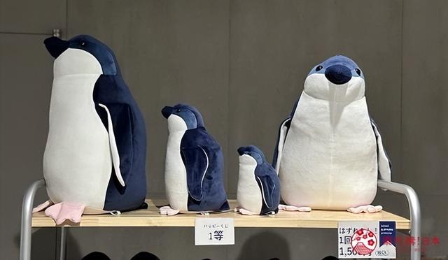 夜游札幌景点推荐「AOAO SAPPORO」水族馆：狸小路地下街直达