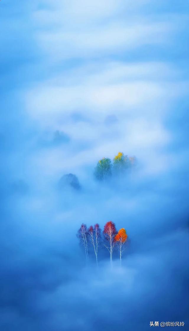 晨雾如纱,轻轻缠绕着远山近林