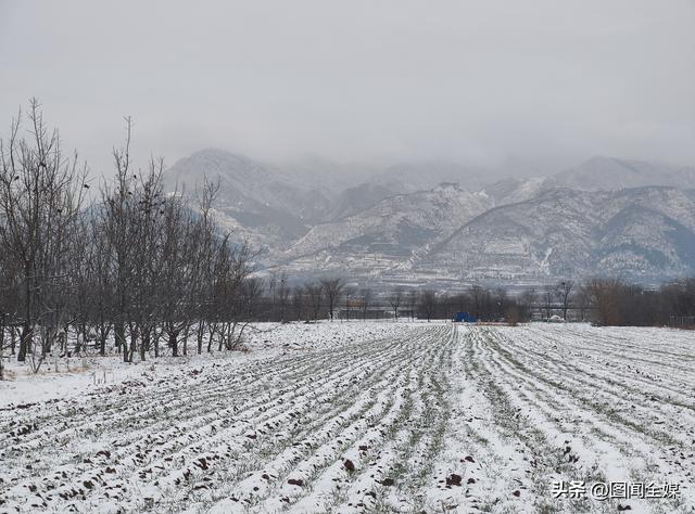 雪后初霁，终南山下麦田披“雪被” 长安黄良宛如仙境！