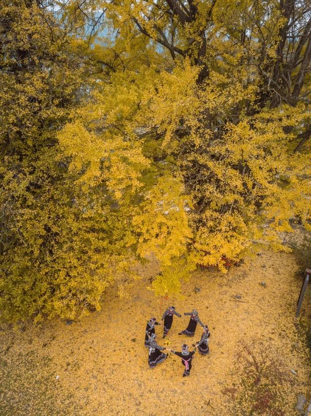 从街角到古村，一键解锁贵阳的秋日浪漫