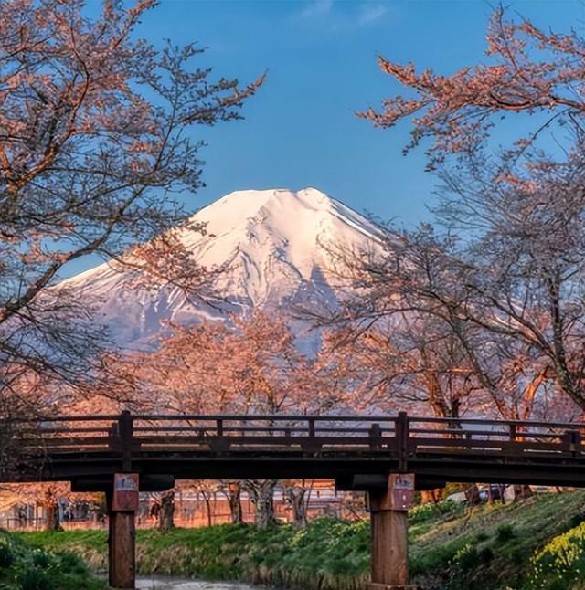 日本旺季变“杀局”， 又是熊袭又是停航 ， 这一波去旅游纯属找罪受