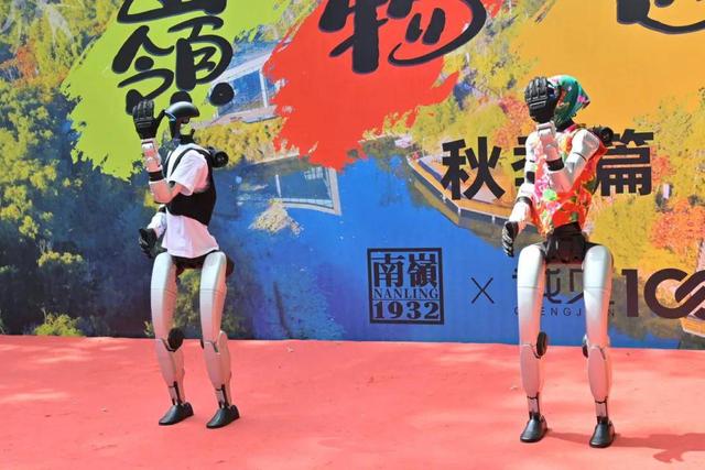 两日精彩！沉浸式生态美学重构城市文旅新范式