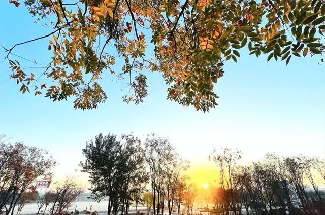 【潍坊寿光】菜乡冬韵：诗意初冬 五彩斑斓