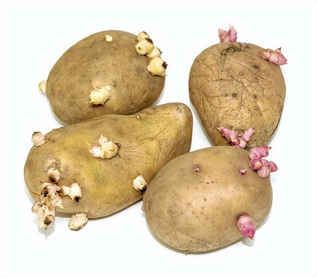 “不到1克，就足以夺走100万人的生命？”毒素就藏在这些食物里
