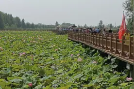 带你深度游菏泽！10条主题旅游线路出炉图片