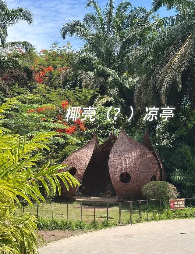 这可能是我买过的最离谱的特产：