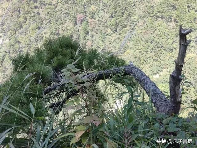江西游记｜终于见到庐山真面目