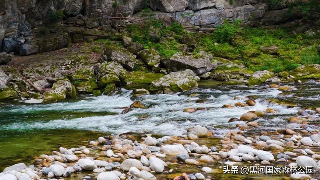 热浪再度来袭？不如进山去！享受20℃+的清凉舒爽