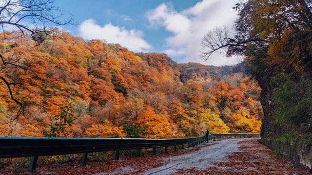 遇见最美红叶季！未来一周汉中红叶观赏预报抢先看~