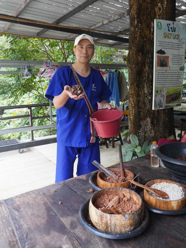 兰纳水灯节疗愈之旅，泰国清道大象训练中心｜和大象做朋友的一天