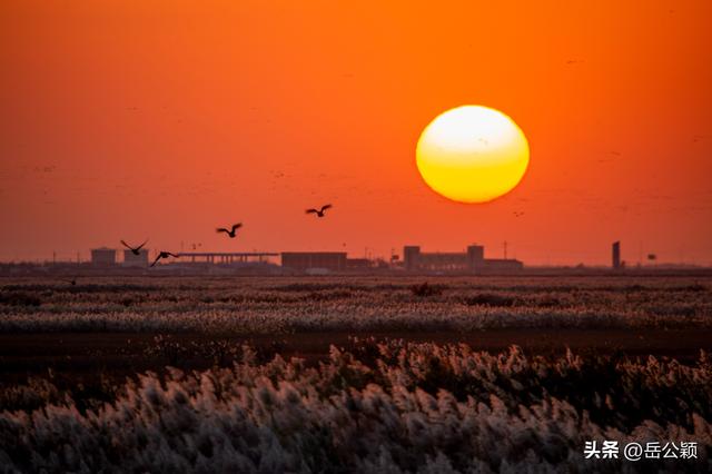 摄影年鉴|2025，我的风光摄影作品——日出日落篇