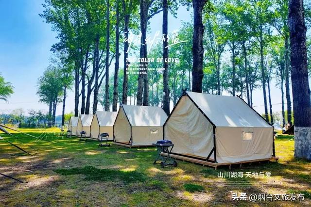 【乐游烟台】烟台福山的秋天,到底藏着多少惊喜?