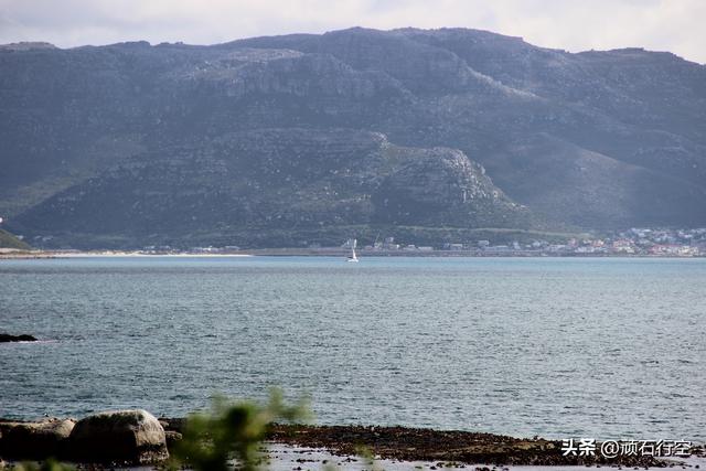 南部非洲：南非开普敦企鹅岛