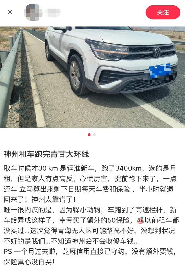 有多少年轻人自驾到伊春后被鹿揍过