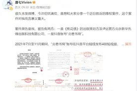 以“《三生三世》抄袭《桃花债》”进行营销推广，《三生三世十里桃花》作者唐七起诉图片