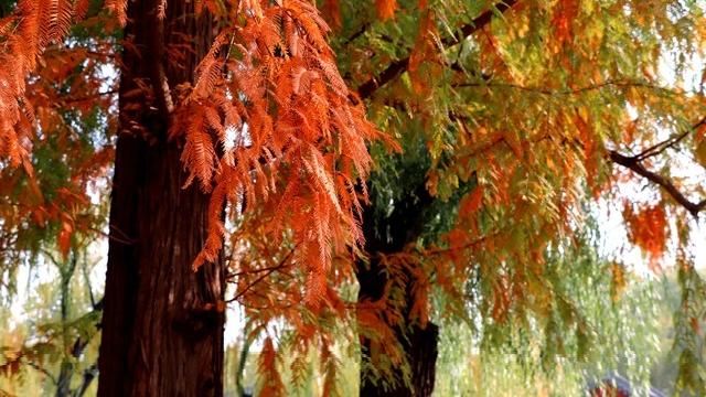 老钢笔里的记者节故事