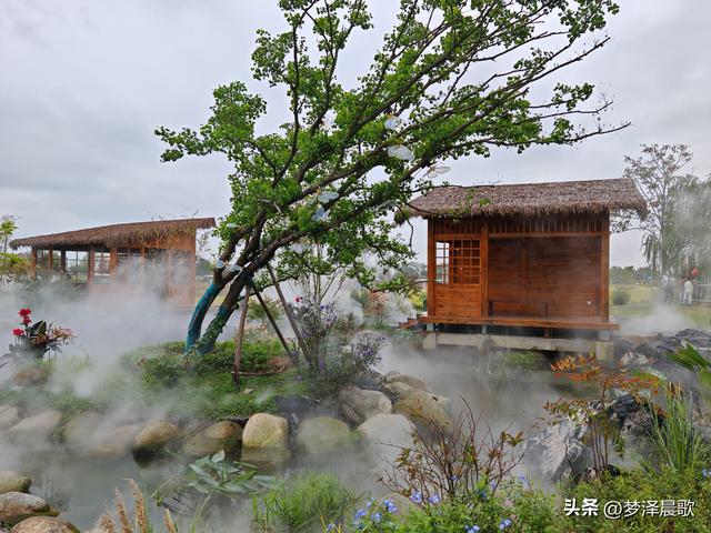 云梦仙境花开十月花雾醉游人