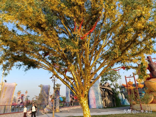 无为在歧路，淄博花灯齐彩城免票