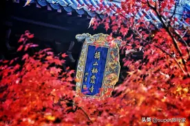 南京最值得去的15个景点，到过8个以上，才算真正到过南京图片