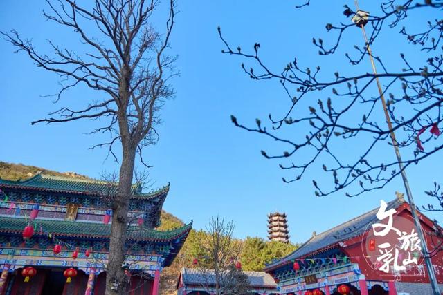 「冬游乳山」暖阳裹肩、泉声伴耳，冷风里偷得半日慢时光