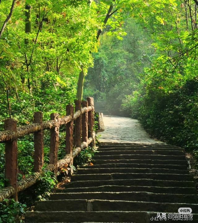 冬日信阳，独具魅力！