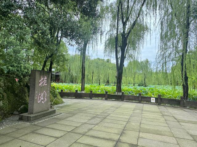 桂湖公园
