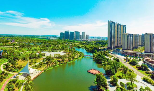 “机”情狂欢，“智”燃明光——机器人总动员，嗨爆明光黄金周