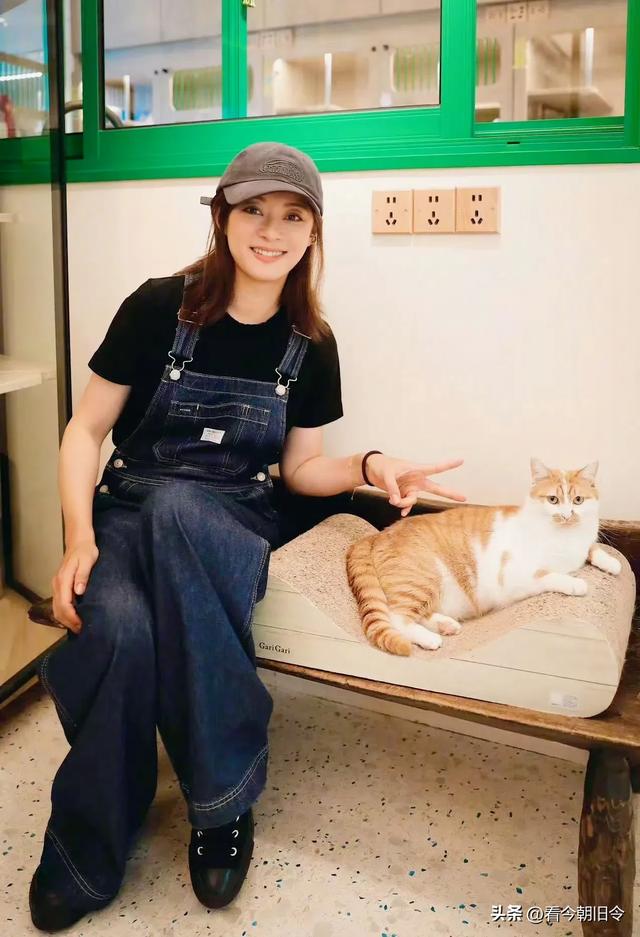 孙俪领养独眼猫，真的是人美心善的娘娘，猫咪遇到了爱它的神。