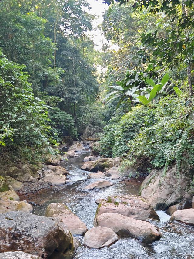 侧耳听鸟语，放眼觅花魂——游勐远仙境