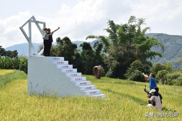 稻浪翻滚时，来赴一场摸鱼狂欢！8月23日丰收节限定快乐上线