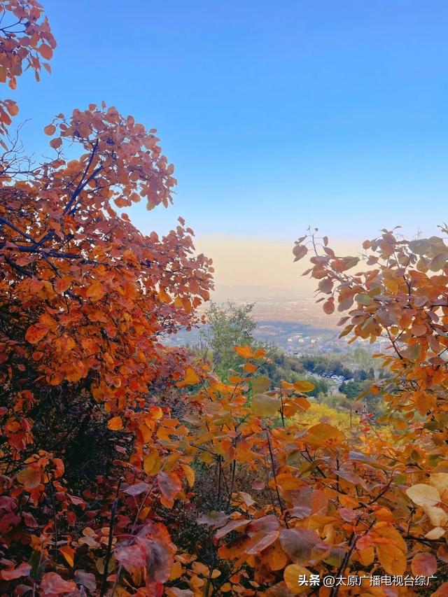 寻迹尖草坪丨初冬限定！这6处绝美风景，再不去真的要等一年！