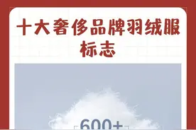 十大奢侈品牌羽绒服标志图片