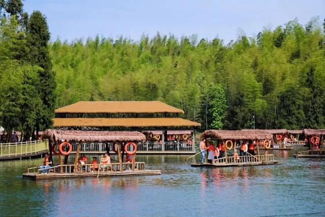 冬日竹海，限时特惠！淡季门票+超值年卡，承包一整年的美景