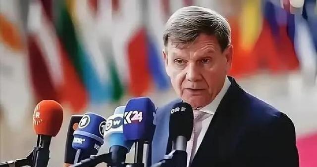 德国外长：台海有事就是德国有事，我们不接受以武力更改台海现状