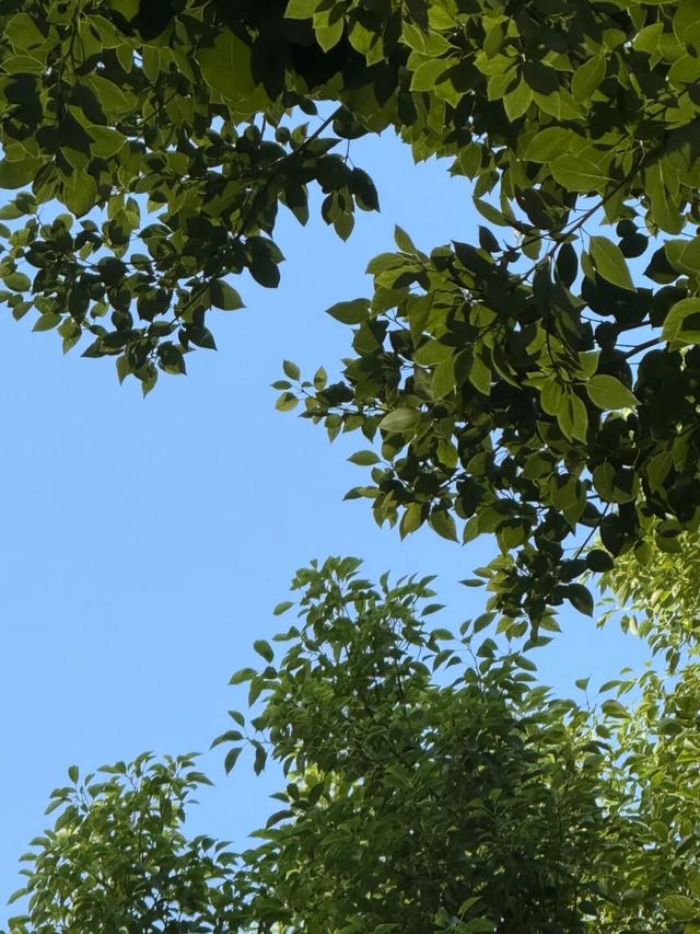 10月，「需要另一个同类」