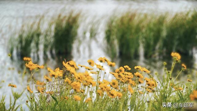 宁阳生态园之美