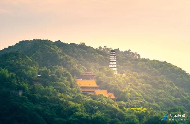 燃！滚滚儿做导游