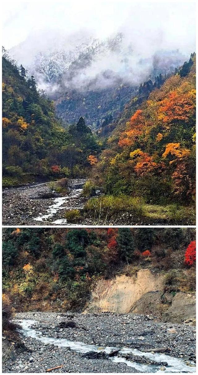 层林尽染看平武