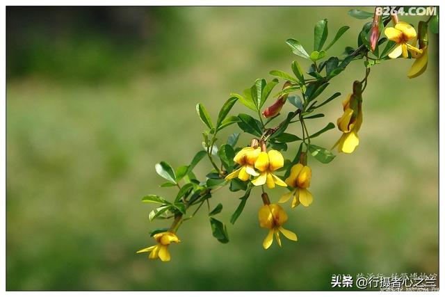 山东行游影记（50）—银雀山汉墓竹简博物馆（一）