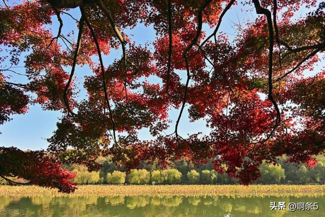 杭州西湖的景色还不错！