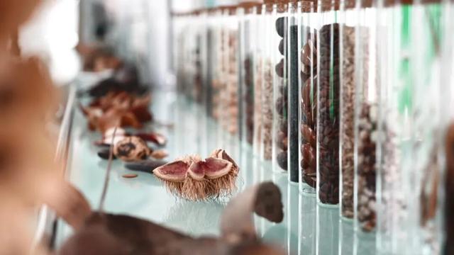 电影照进现实？中国给未来存上备份，打造野生生物的“诺亚方舟”