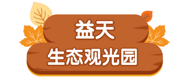 这条「五彩斑斓」的赏秋路线，把秋天都打包给你了！