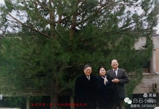 卡拉布里亚大学的松树